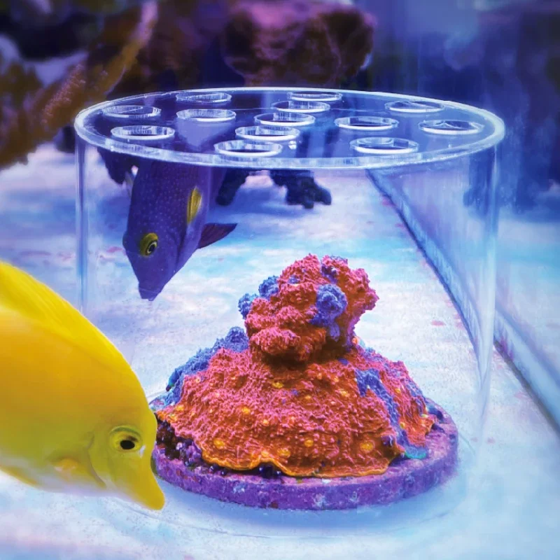 Coral Frag Plug - Vastocean Acquario Acrilico Corallo Cappa Alimentatore