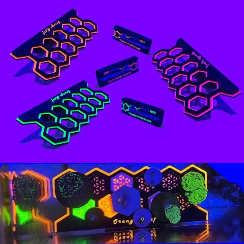 Supporti Magnetici Fluorescent - Coral Frag Plug recensione e prezzo