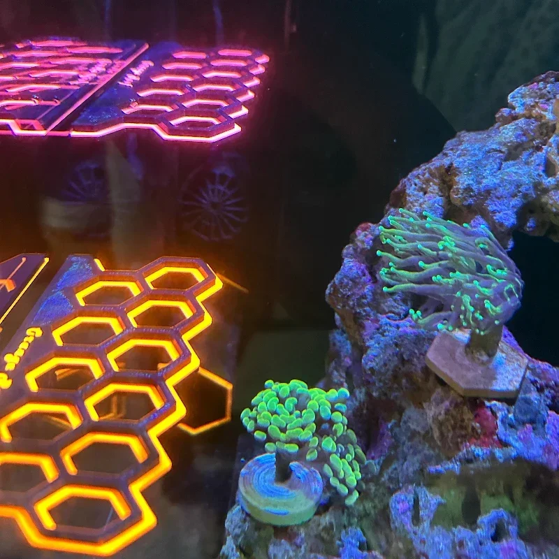 Supporti Magnetici Fluorescent - Coral Frag Plug recensione e prezzo