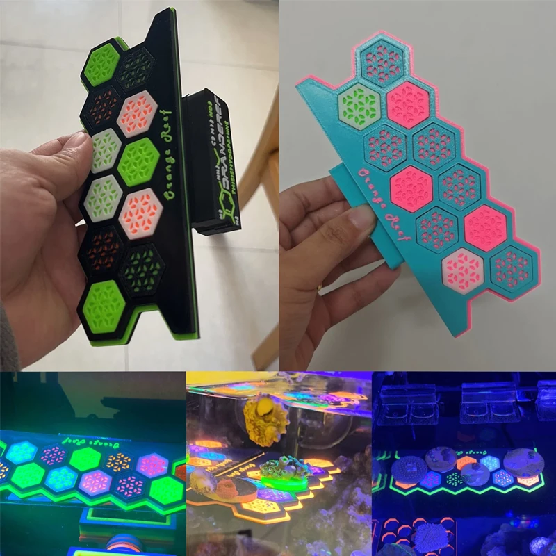 Supporti Magnetici Fluorescent - Coral Frag Plug recensione e prezzo