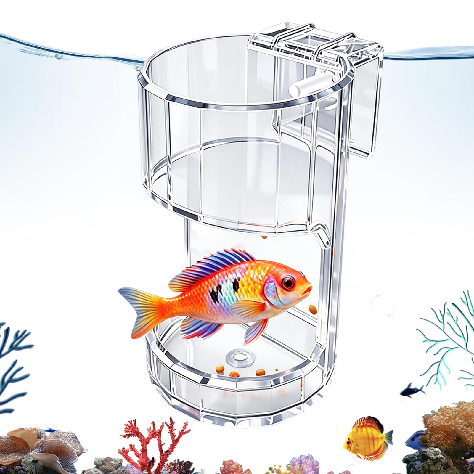 Ciotola Trasparente per Acquar - Marine Aquarium Live recensione e prezzo