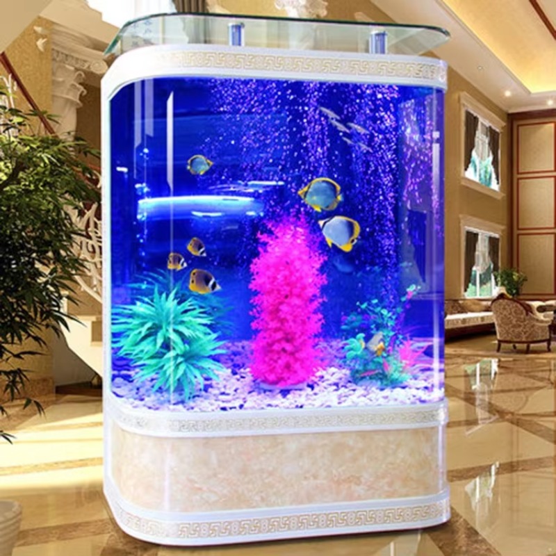 Acquario in Vetro da 200 Gallo - Marine Aquarium Live recensione e prezzo