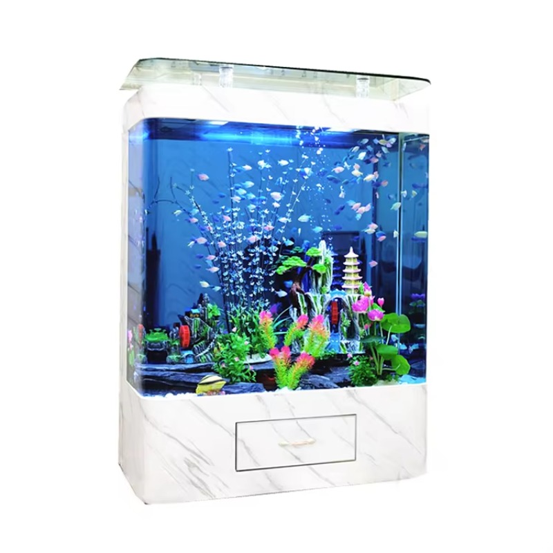 Acquario in Vetro da 200 Gallo - Marine Aquarium Live recensione e prezzo