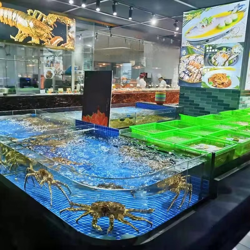 Acquario Quadrato in Vetro per - Marine Aquarium With Sump recensione e prezzo