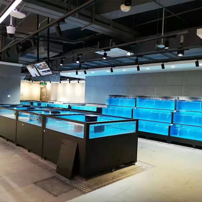 Acquario Quadrato in Vetro per - Marine Aquarium With Sump recensione e prezzo