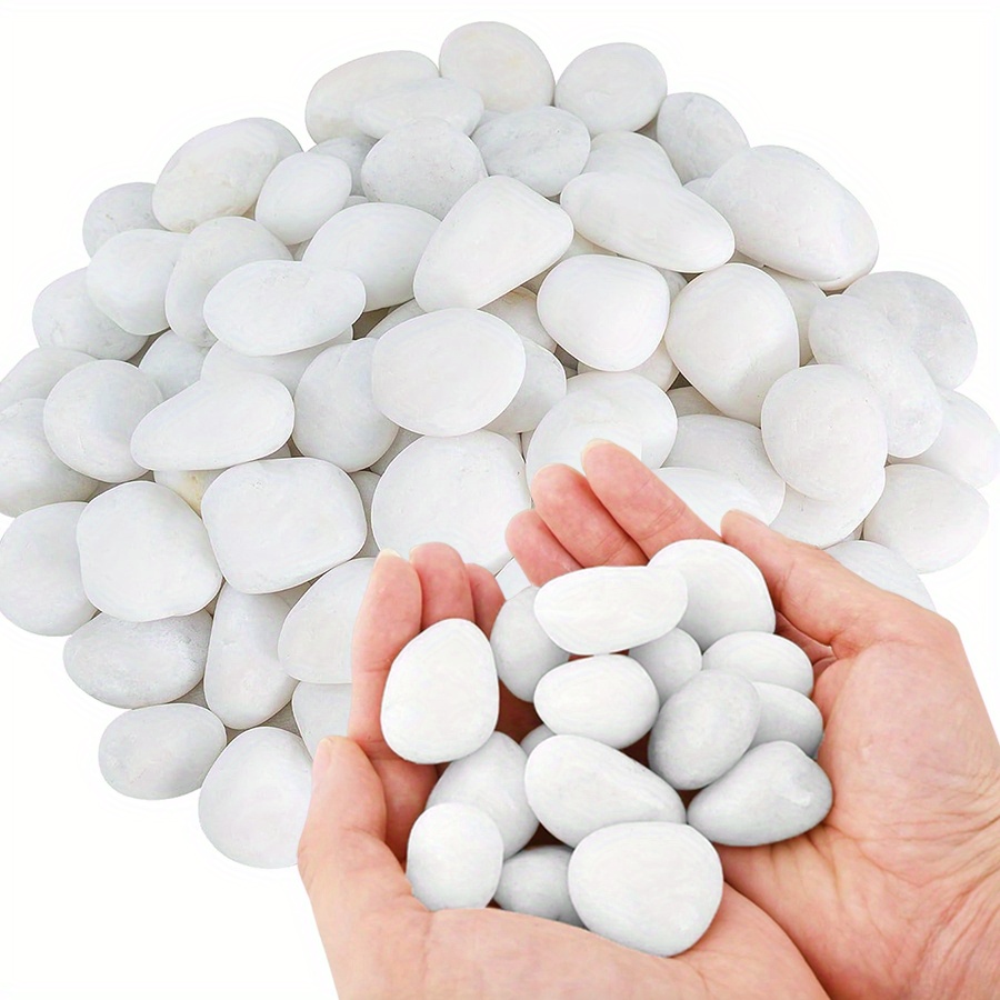 200/400g Bianco Alto Lucido Ci - Marine Aquarium Tanks recensione e prezzo