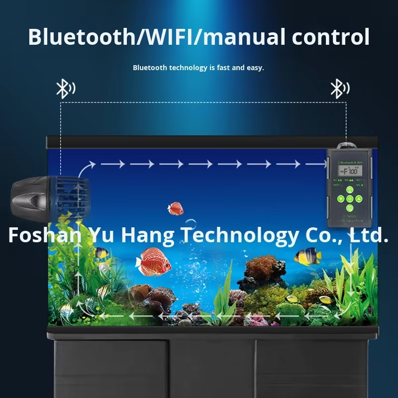 Fornitura di vendita diretta i - Marine Aquarium Tank For Sale recensione e prezzo