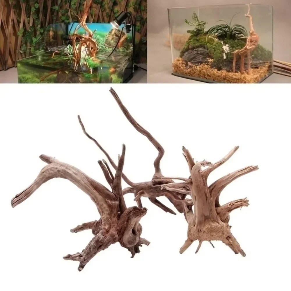 (15-20 cm) Decorazione per Acq - Marine Aquarium Tanks recensione e prezzo